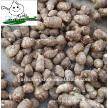 New Fresh Taro 50g and up